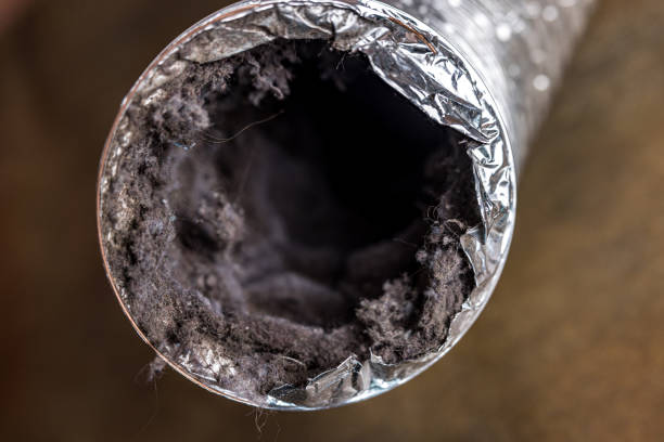 Best Local Air Duct Cleaning Services  in Marietta Alderwood, WA